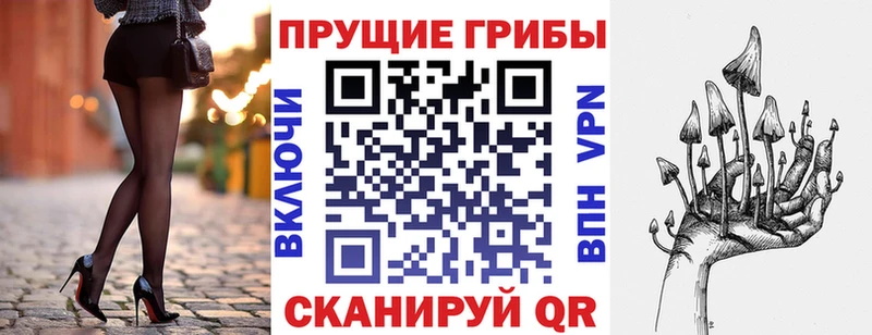 Галлюциногенные грибы мицелий  что такое наркотик  Миньяр 